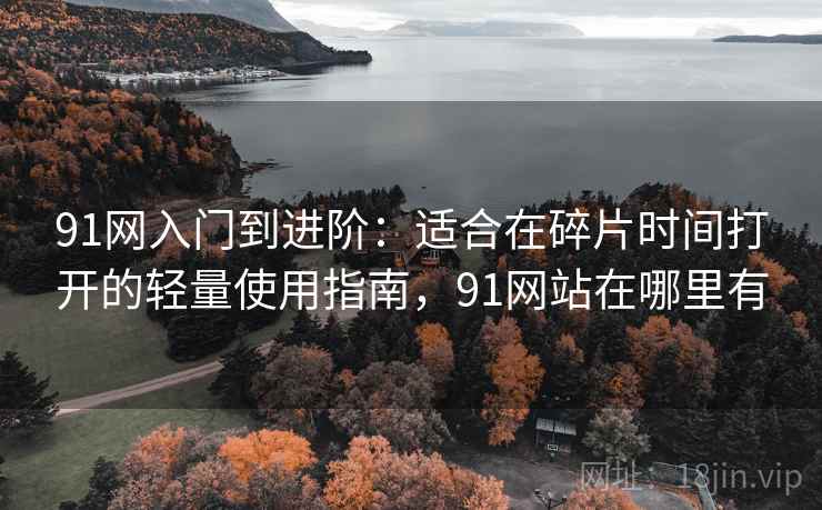 91网入门到进阶：适合在碎片时间打开的轻量使用指南，91网站在哪里有