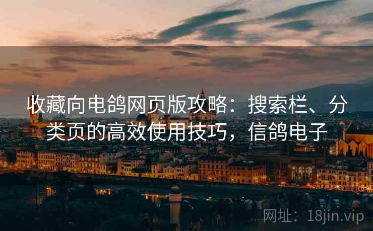 收藏向电鸽网页版攻略：搜索栏、分类页的高效使用技巧，信鸽电子