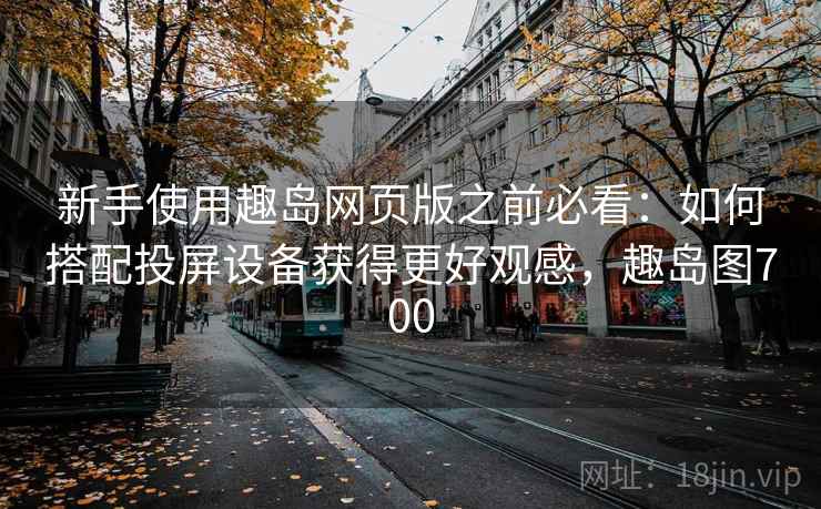 新手使用趣岛网页版之前必看：如何搭配投屏设备获得更好观感，趣岛图700