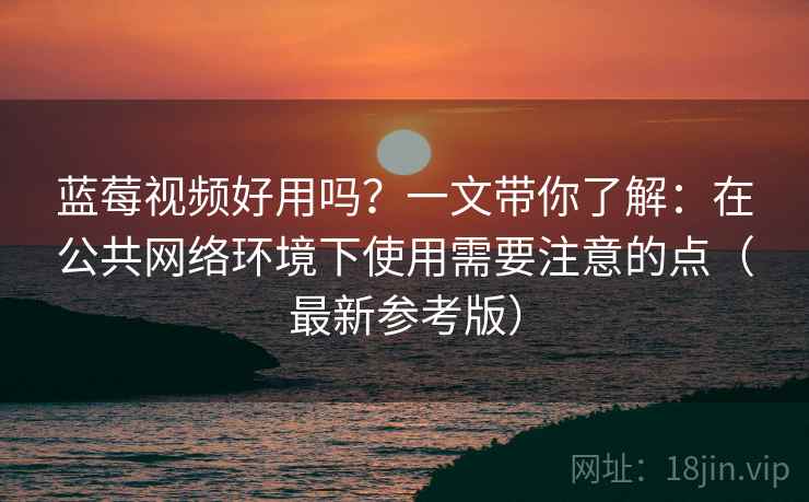 蓝莓视频好用吗？一文带你了解：在公共网络环境下使用需要注意的点（最新参考版）