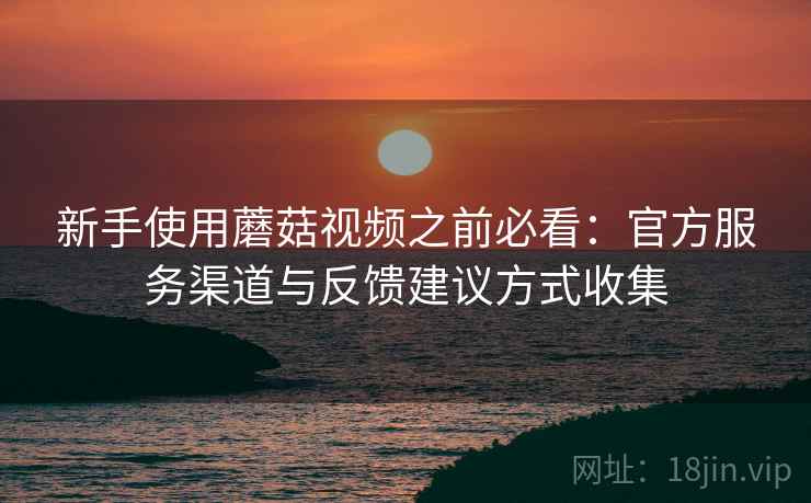 新手使用蘑菇视频之前必看：官方服务渠道与反馈建议方式收集
