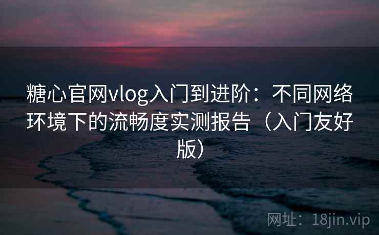 糖心官网vlog入门到进阶：不同网络环境下的流畅度实测报告（入门友好版）