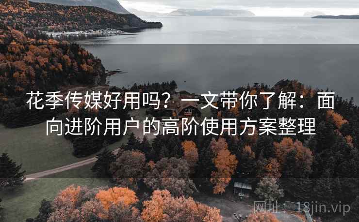 花季传媒好用吗？一文带你了解：面向进阶用户的高阶使用方案整理