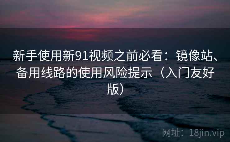 新手使用新91视频之前必看：镜像站、备用线路的使用风险提示（入门友好版）