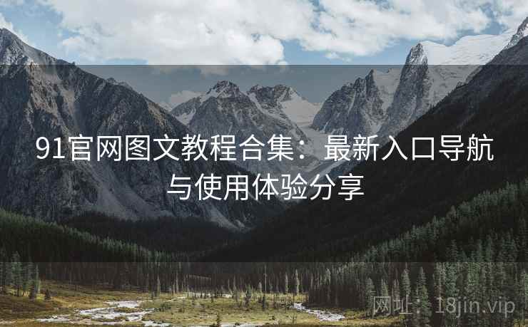 91官网图文教程合集：最新入口导航与使用体验分享