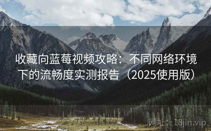 收藏向蓝莓视频攻略：不同网络环境下的流畅度实测报告（2025使用版）