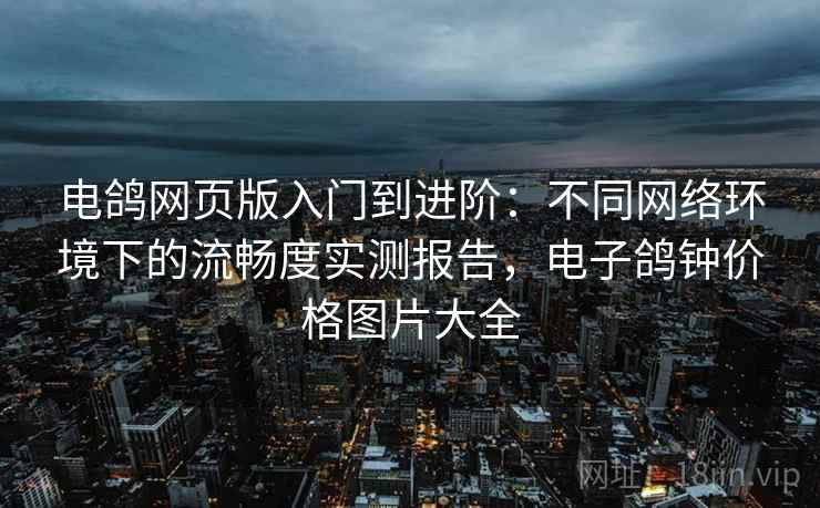电鸽网页版入门到进阶：不同网络环境下的流畅度实测报告，电子鸽钟价格图片大全