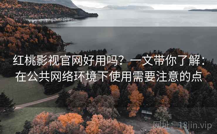红桃影视官网好用吗？一文带你了解：在公共网络环境下使用需要注意的点