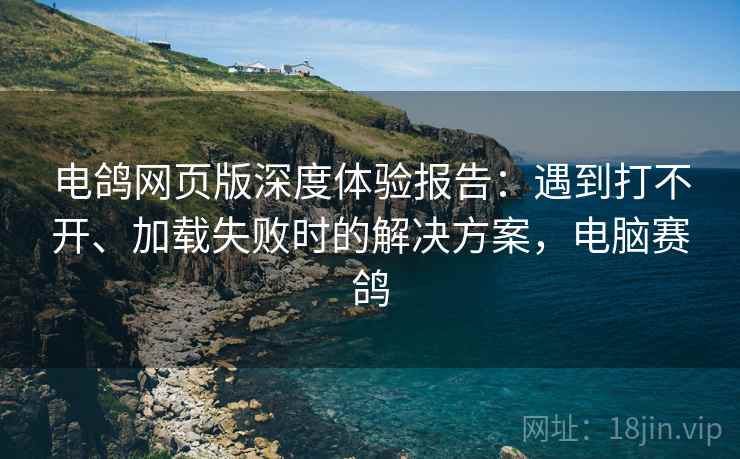 电鸽网页版深度体验报告：遇到打不开、加载失败时的解决方案，电脑赛鸽