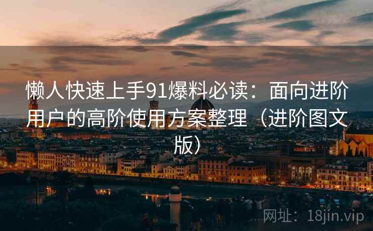懒人快速上手91爆料必读：面向进阶用户的高阶使用方案整理（进阶图文版）