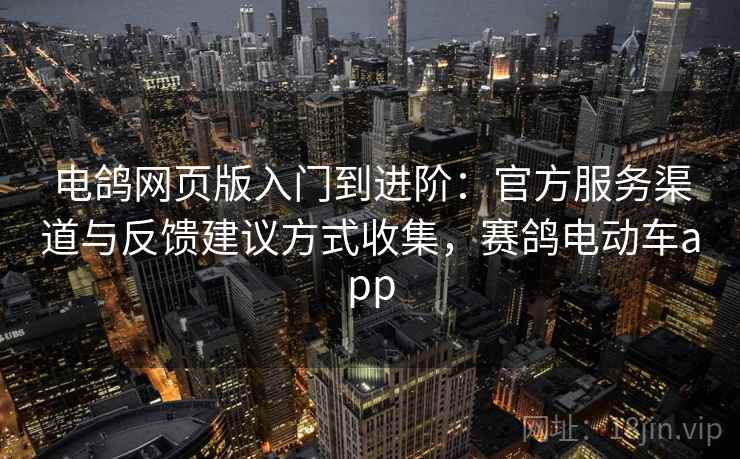 电鸽网页版入门到进阶：官方服务渠道与反馈建议方式收集，赛鸽电动车app