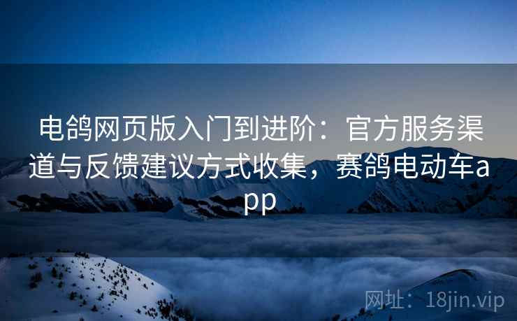 电鸽网页版入门到进阶：官方服务渠道与反馈建议方式收集，赛鸽电动车app