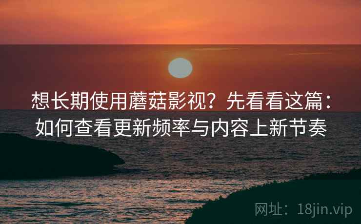 想长期使用蘑菇影视？先看看这篇：如何查看更新频率与内容上新节奏